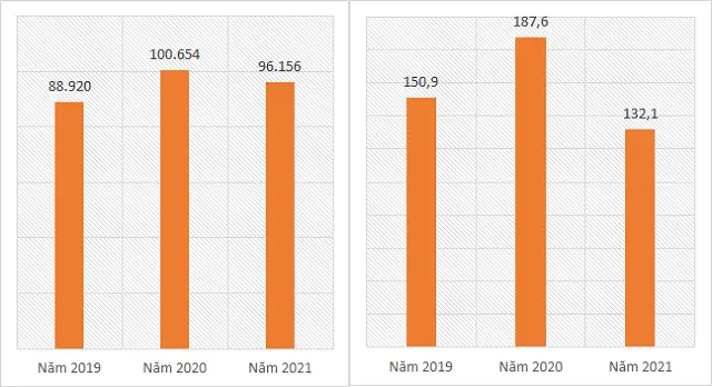 Biểu đồ doanh thu và lợi nhuận sau thuế công ty mẹ Doji giai đoạn 2019-2021