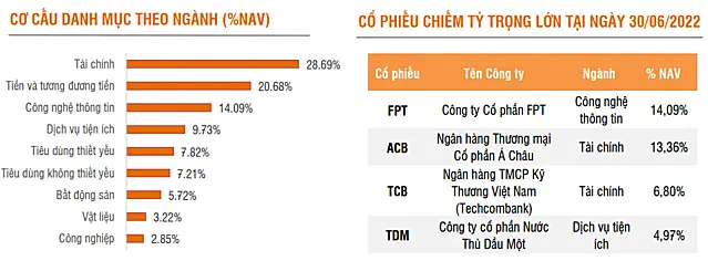 Cơ cấu danh mục theo ngành và các cổ phiếu chiếm tỷ trọng lớn của quỹ tại ngày 30/6/2022