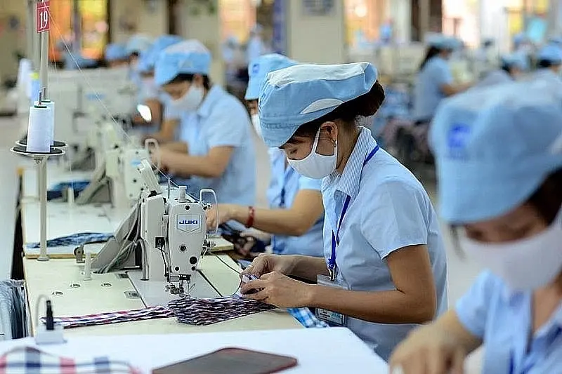 Công ty mẹ TCM ước lãi quý III đạt 53 tỷ đồng, giảm 45%