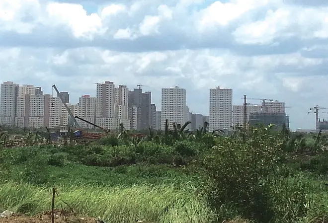 Khu đất trống cỏ mọc, phía xa là các tòa chung cư đang xây dựng