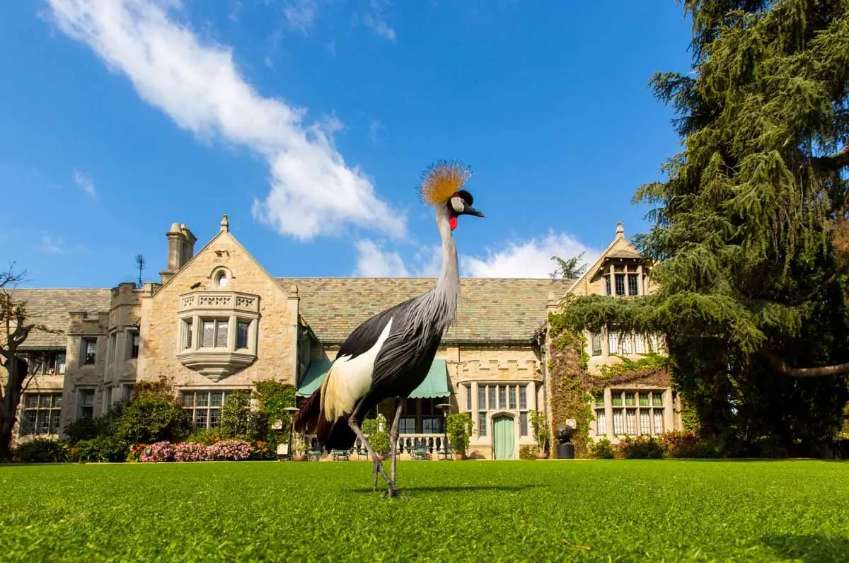 Tổng diện tích của Playboy Mansion lên đến 1858m2, nằm cạnh câu lạc bộ nổi tiếng Los Angeles Country Club và giữa 2 thành phố Beverly Hills - Westwood