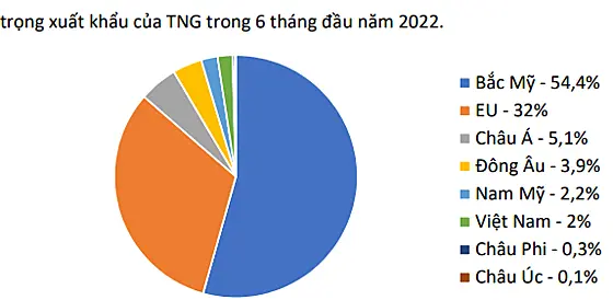 Tỷ trọng xuất khẩu của dệt may TNG