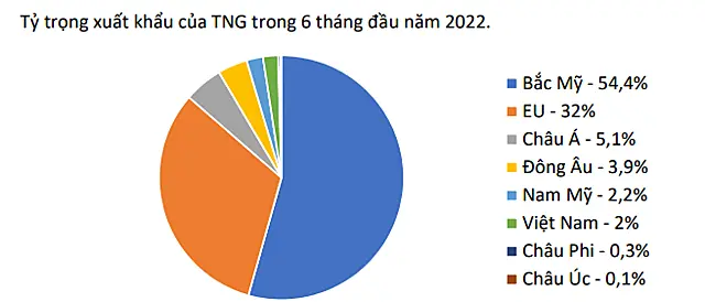 Tỷ trọng xuất khẩu của dệt may TNG