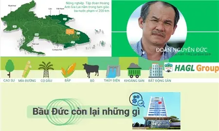Đồ họa giới thiệu ông Đoàn Nguyên Đức và các mảng kinh doanh của HAGL