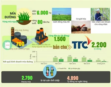 Đồ họa mảng mía đường của HAGL và thương vụ bán cho TTC