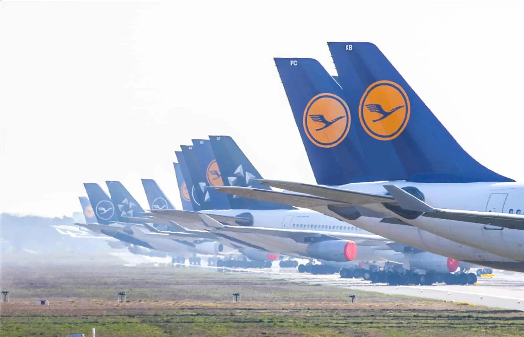 Đuôi máy bay Lufthansa xếp hàng trên sân đỗ
