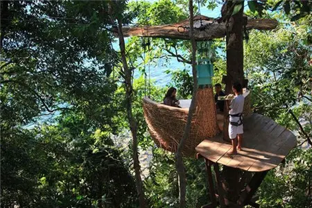 Người phục vụ đứng trên sàn gỗ cạnh tổ chim giữa rừng